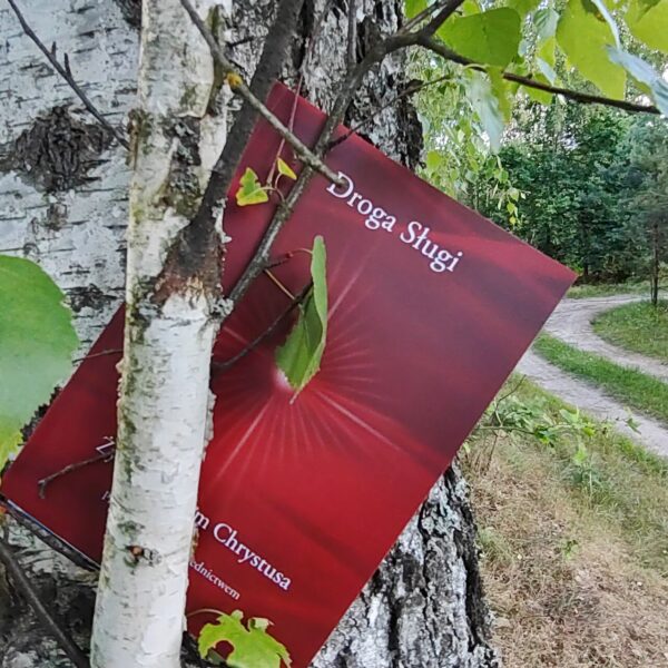 Droga Sługi
