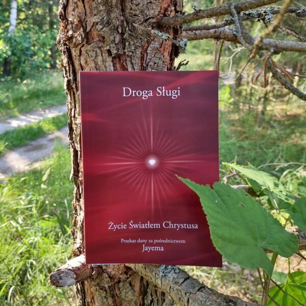 Droga Sługi